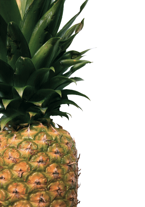 Kopie