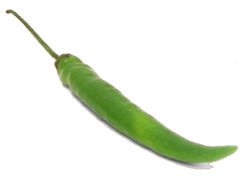item7
